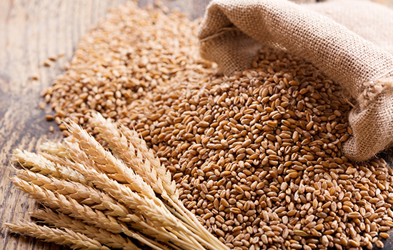 店内で使用する電力は太陽光発電で賄っています